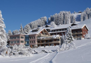 Ferien- und Familienhotel Alpina Adelboden  Адельбоден